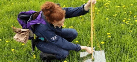 Assessment and Calibration of a Falling Plate Meter as a Tool to Measure Ontario Pastures