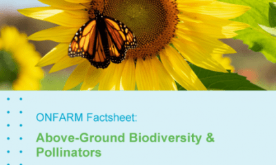 Above-Ground Biodiversity & Pollinators