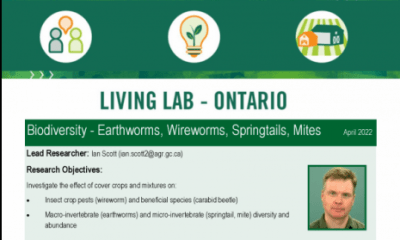 Biodiversity - Earthworms, Wireworms, Springtails, Mites