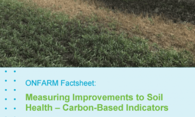 Carbon-Based Soil Health Indicators